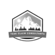 teakautoclaimsslc.com